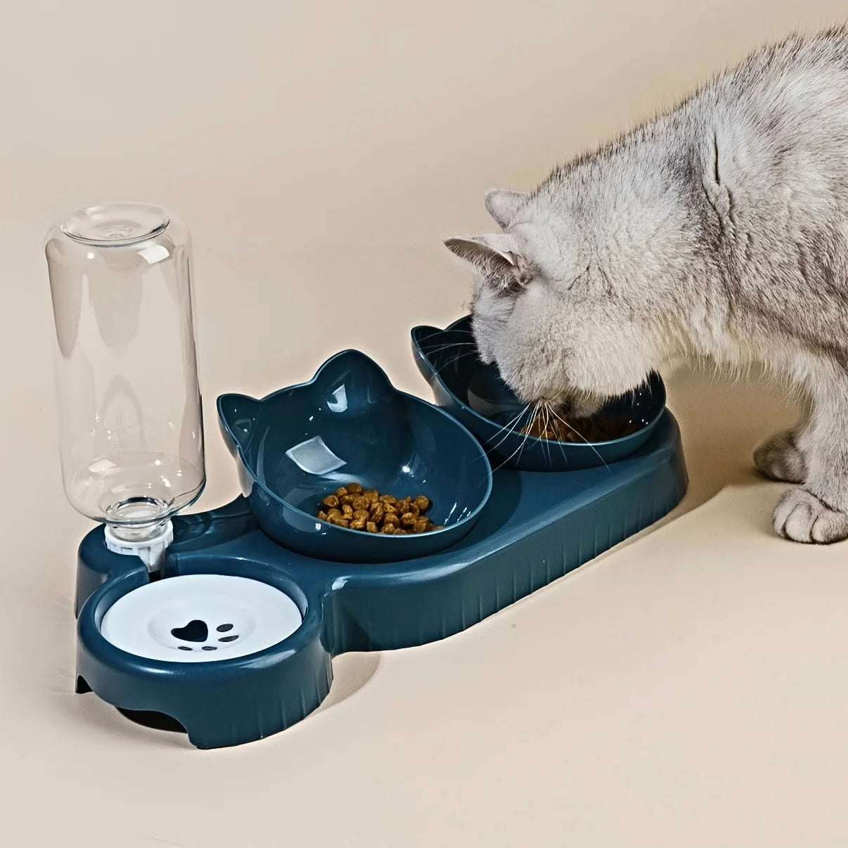 Cat Bowl With Water Feeder